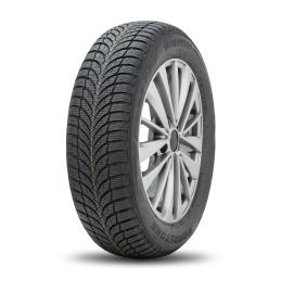 Roadstone Winguard SnowG WH2 205/60R15 91H